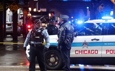 Trump says Chicago crime has fallen dramatically despite 'extraordinary resistance' from local Democrats