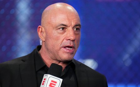 Rogan warns that liberal celebration of Kirk assassination shows we're closer to 'civil war' than he thought