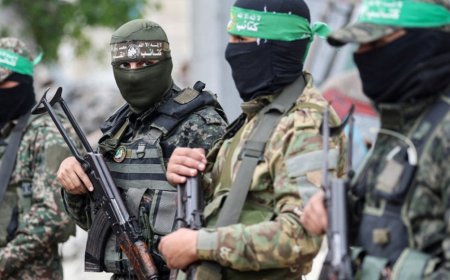 哈马斯：武装人员将撤至以色列控制区“黄线”内