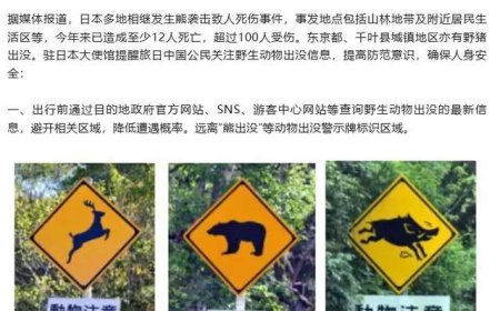 熊灾泛滥！日本自卫队打算用刺刀冲锋肉搏猎熊，以前曾用高射炮？