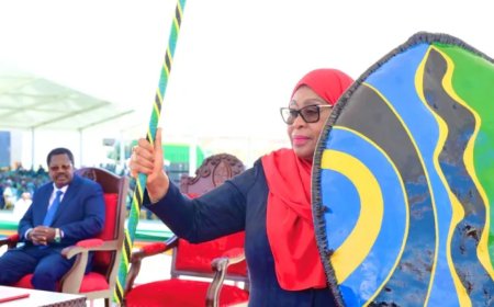 萨米娅·苏卢胡·哈桑：从改革的希望转向对坦桑尼亚人的镇压