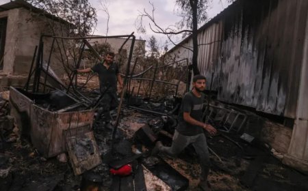 以色列军队在加沙杀害三人  定居者袭击被占西岸