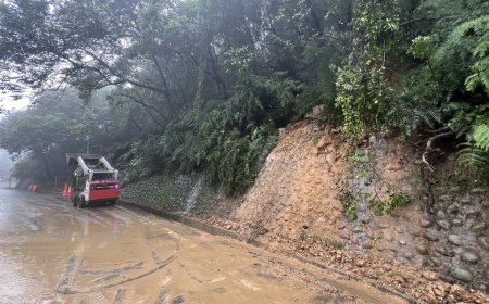 快訊／鳳凰來襲！陽金公路8.8k「邊坡坍滑」樹倒　緊急排除狀況