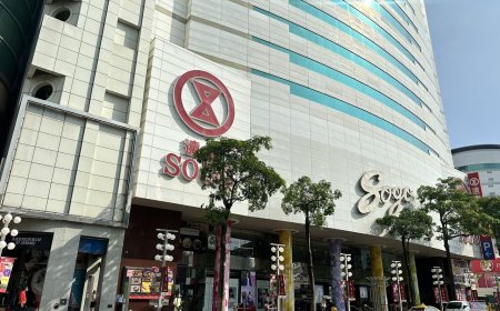鳳凰襲台SOGO高雄店11／12停業　周年慶順延一天
