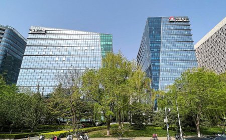 中國醞釀新規    阻止美國軍火商取得稀土磁體材料