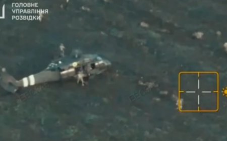 红军城战况如何？乌专家：泽连斯基不能再撒谎