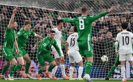 C罗被罚下场，爱尔兰爆冷击败葡萄牙，保留世界杯夺冠希望