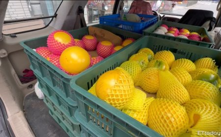 彭華幹斥賣黃金果「坑觀光客」　攤商喊冤曝原因：賴清德來也一樣