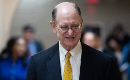 Democratic Rep. Brad Sherman denies viewing pornography on flight after viral photos surface online