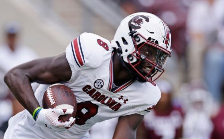 Texas state trooper scolds South Carolina wide receiver after touchdown; department speaks out