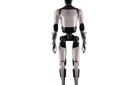 马斯克惊人预测：20 年内人类意识有望上传至机器人实现“永生”