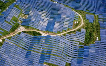 中国如何成为世界向清洁能源转型的关键所在？