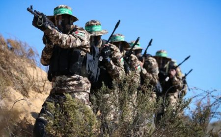 特朗普政府向以色列施压以解决拉法的哈马斯武装分子危机