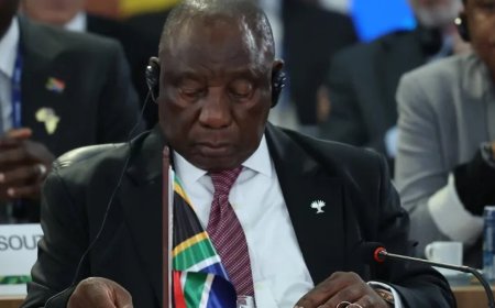 南非将G20轮值主席国移交给美国