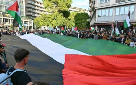 关于哈马斯、10月7日事件和特朗普计划的说法