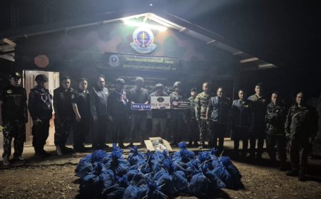 81獼猴慘淪「藥物實驗品」險被賣到柬埔寨！　泰破獲走私集團