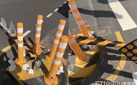 彰化行人庇護島「7個月連9撞」　網狂酸：戰鬥力超強三寶捕捉島