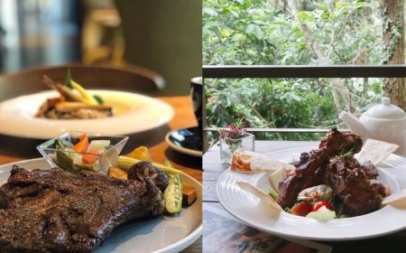 2025台中國際花毯節登場　周邊新社高人氣景觀餐廳跟著來打卡