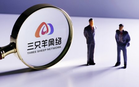 三只羊等被起诉，因专利权纠纷被索赔50万元