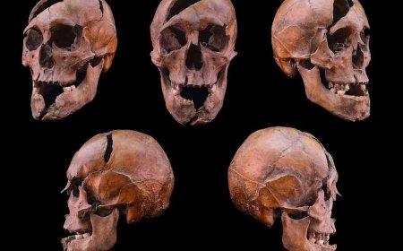 科学家以 DNA 破解 700 年前王室谋杀案，还原 1272 年暗杀现场