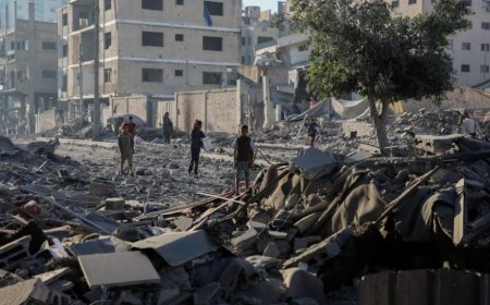 外媒：以色列与哈马斯均不满美国提出的加沙提案