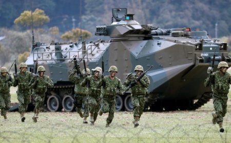 专家：高市言论非“独苗” 根在日本右倾化土壤