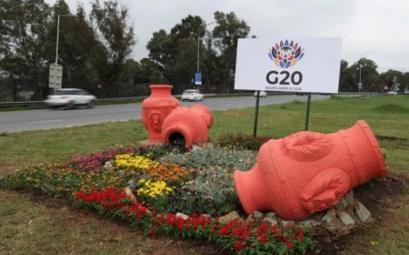 二十国集团峰会：非洲正处于地缘政治风暴的中心