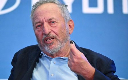 卷入爱泼斯坦案件，美前财长萨默斯“塌房”