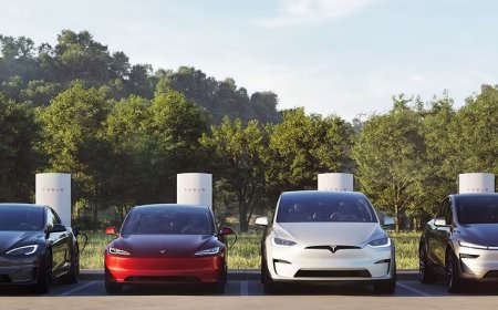 特斯拉全系四款车型推送 2025.38.11 软件更新：安全气囊防护性能升级、方向盘滚轮新增快捷控制功能，Apple Music 界面功能调整