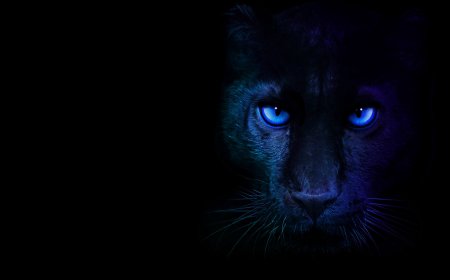 英特尔确认 CES 2026 正式发布酷睿 Ultra 第 3 代 Panther Lake 处理器