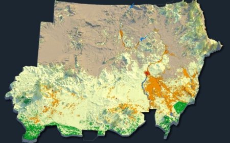 苏丹拥有丰富的石油、黄金和农业资源：这些资源由谁控制？