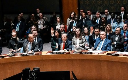 关于联合国第2803号决议（加沙问题）的意见：含糊不清和强加现实