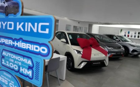 中国电动汽车主导全球市场——美国与加拿大因何例外？