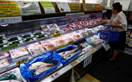 中國「再禁日水產」衝擊有限　日媒：業者早分散市場