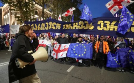 格鲁吉亚与欧洲关系紧张的原因以及俄罗斯在其中的关联