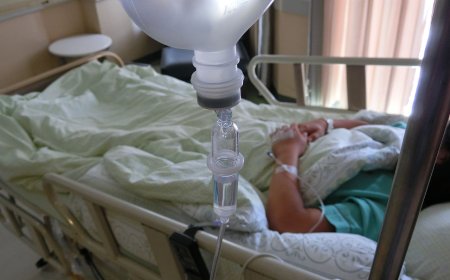 全球首例！人類感染H5N5病毒喪命