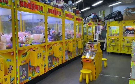 娃娃機店活春宮「脫到剩襪子」還搬工業電扇降溫　男女各罰2千