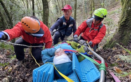 獨／山友拉繩手滑「跌落80米山谷」手骨折頭受傷　消防急救援