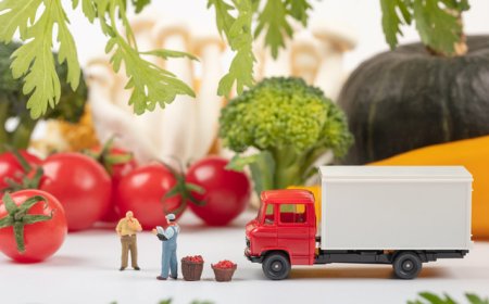 生鲜电商竞争从规模转向供应链