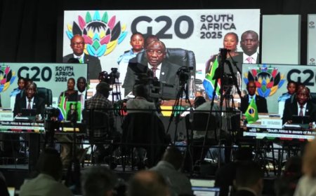 二十国集团未能有效应对主权债务困境