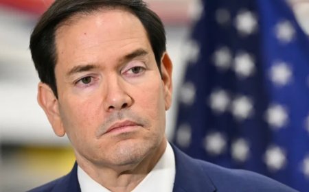 最新被美国列入“外国恐怖组织”名单的“太阳集团”是什么？