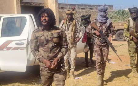 大赦国际：苏丹快速支援部队在达尔富尔犯下战争罪行