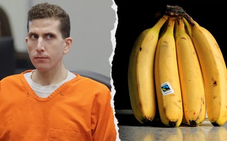 'Jailhouse Karen' Bryan Kohberger complains about prison bananas after quadruple murder conviction: report