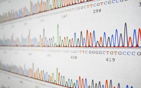 财说｜48亿资产标的全部新股认购，心通医疗为何如此激进？