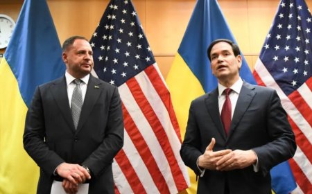 泽连斯基政府关键人物辞职 数日前还率团与美会谈