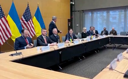 美“28点计划”大幅缩减差别在哪儿？专家分析