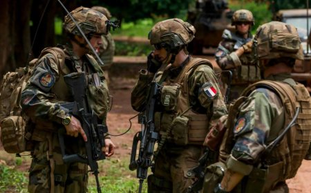 法国酝酿设立“志愿兵役”制度 应对俄“持久威胁”