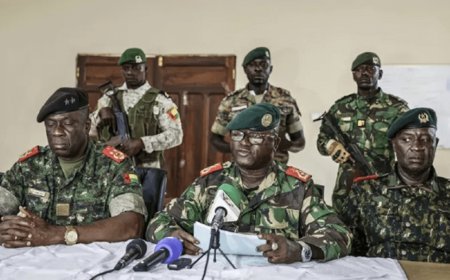 几内亚比绍选举进程崩溃：11月26日政变的背景是什么？