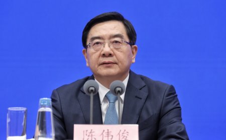 中纪委周末“打虎”，副部级陈伟俊被查，曾是浙江最年轻副省长