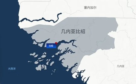 几内亚比绍：尚无一位总统能够完成其任期的国家